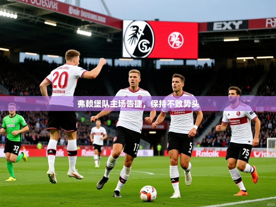 2025 迈博体育app下载弗赖堡队主场告捷,保持不败势头 第1张