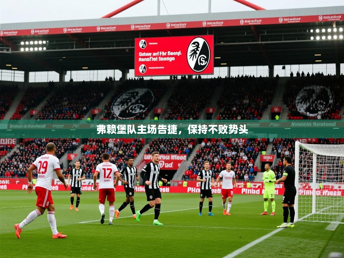 2025 迈博体育app下载弗赖堡队主场告捷,保持不败势头 第2张
