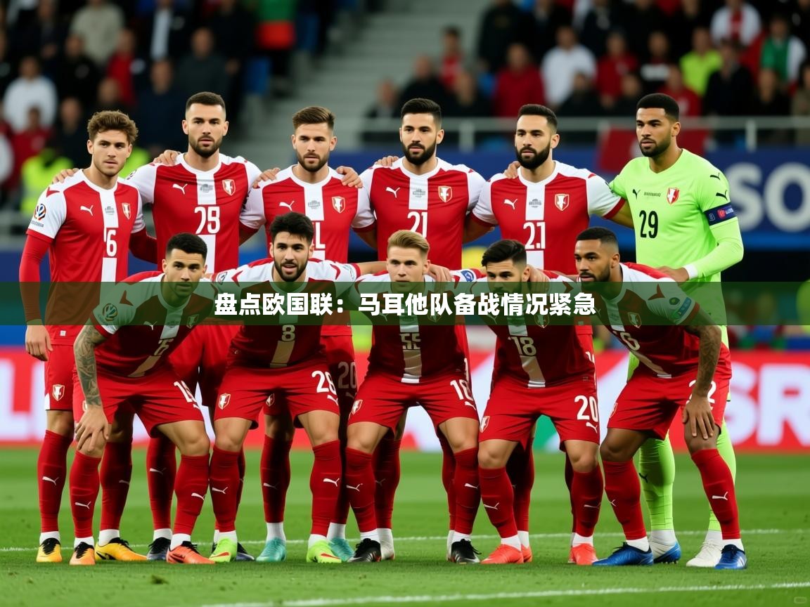 2025 迈博体育app盘点欧国联：马耳他队备战情况紧急  第2张