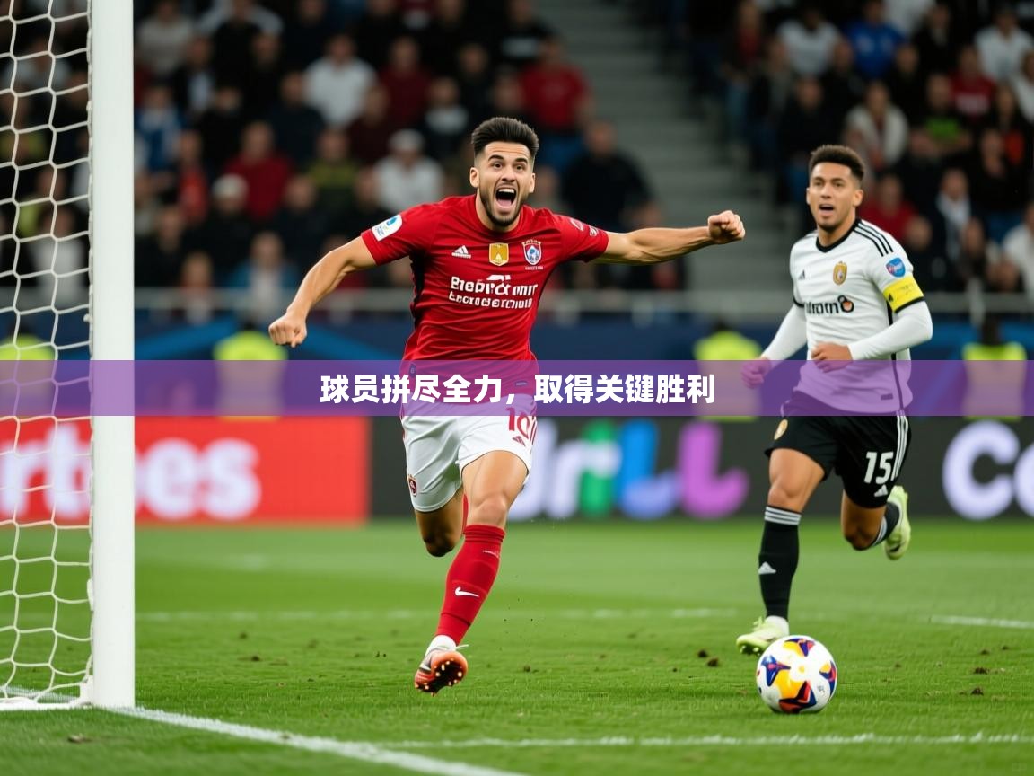 2026 迈博体育 源自欧洲球员拼尽全力,取得关键胜利 第1张