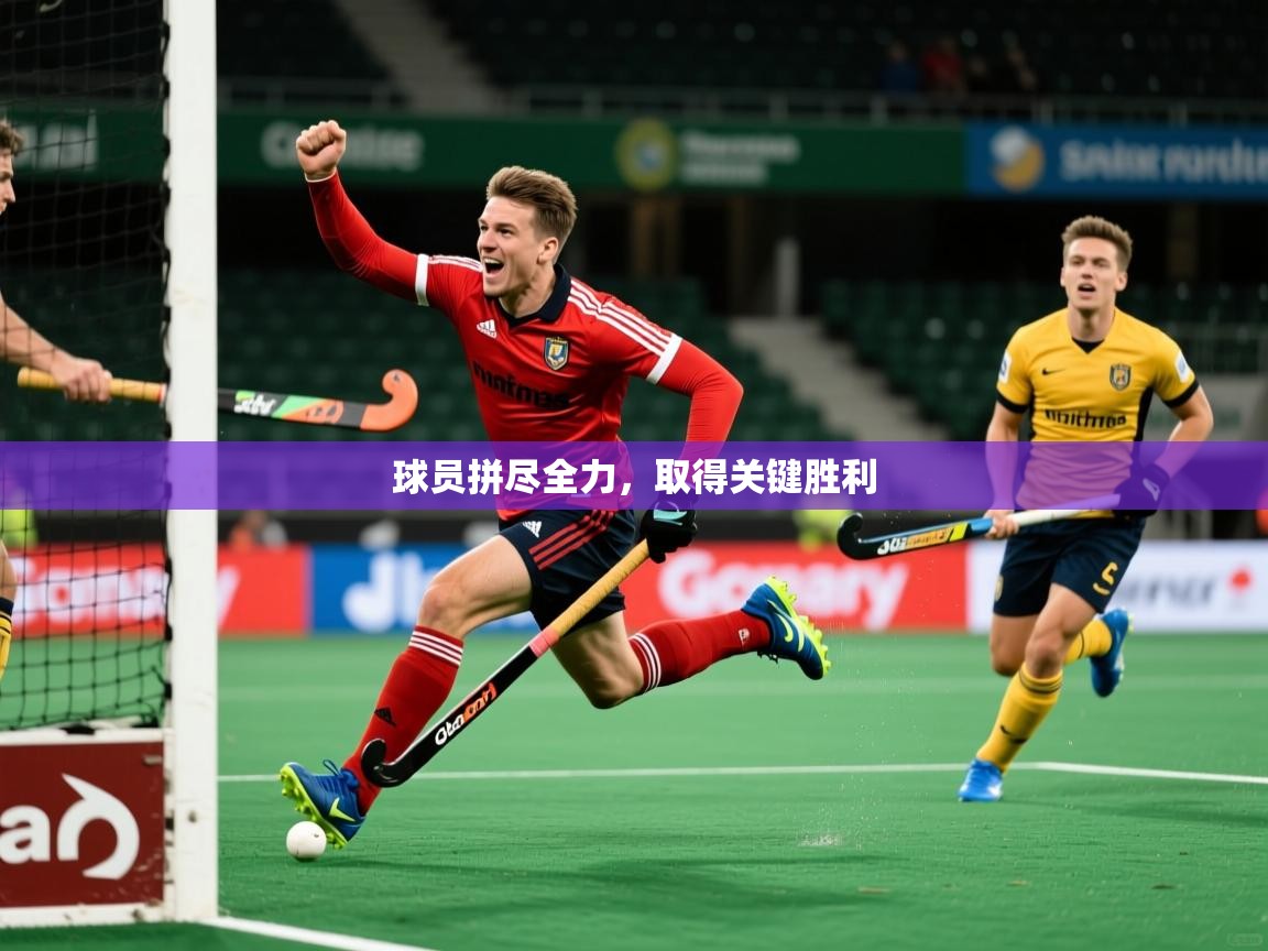 2026 迈博体育 源自欧洲球员拼尽全力,取得关键胜利 第3张