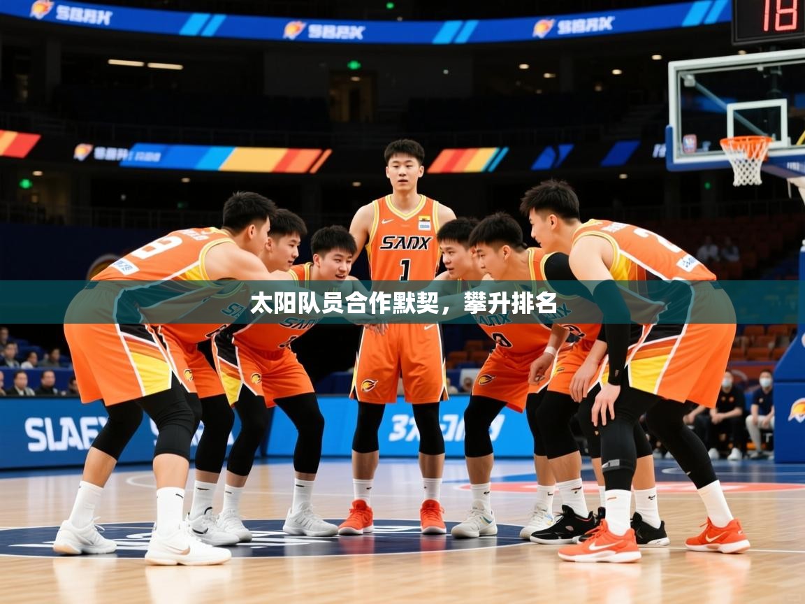 2026 迈博体育app下载太阳队员合作默契，攀升排名  第2张